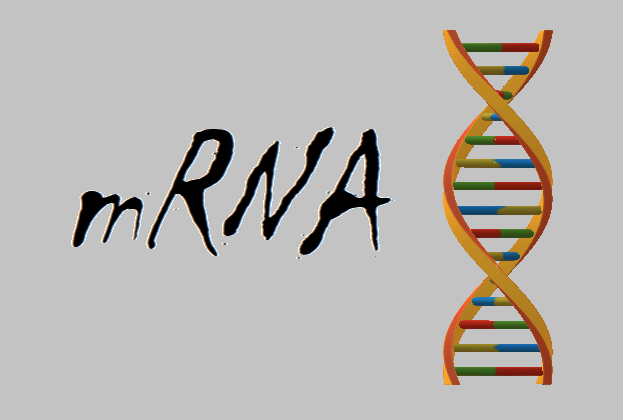 mRNA Logo 3 (c) Walther 2023